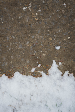 雪地