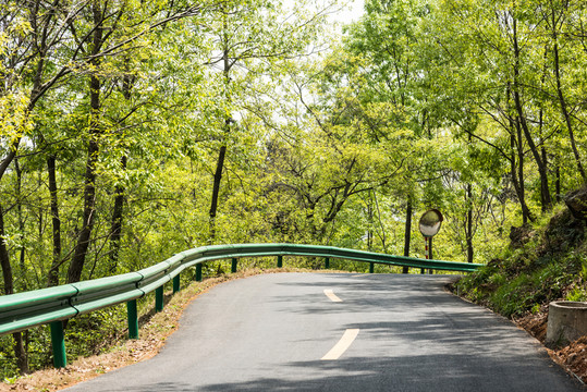 金牛山林間公路