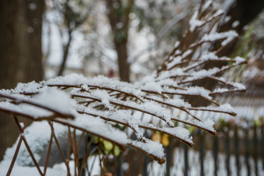 雪下欄桿