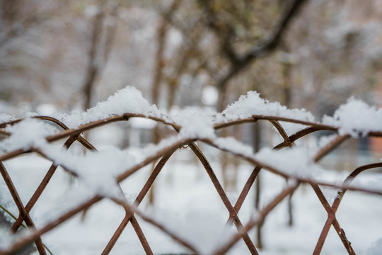 雪下欄桿