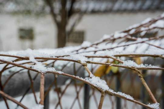 雪下欄桿