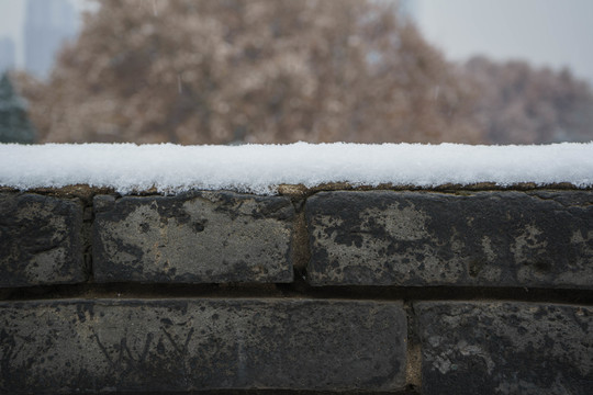磚墻落雪