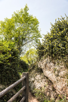 金牛山山道