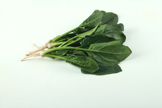 菠菜