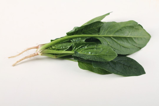 菠菜