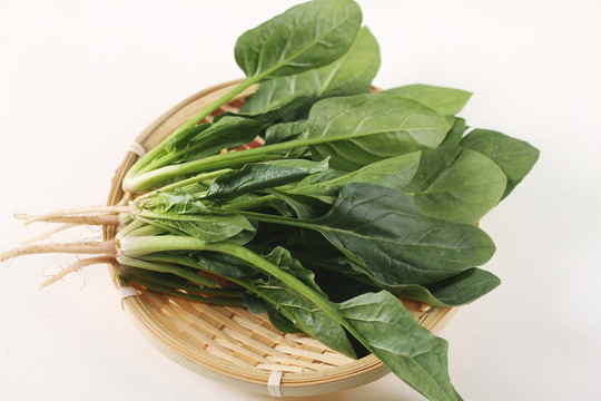菠菜