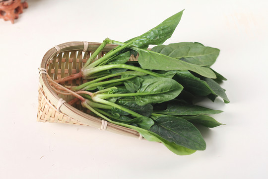 菠菜 蔬菜 綠色 健康 素食