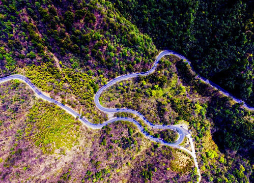 山區(qū)公路