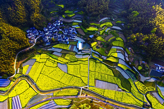 田園風(fēng)光