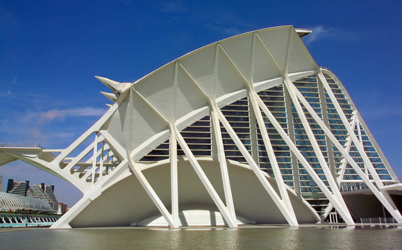 palau de les arts -principe felipe