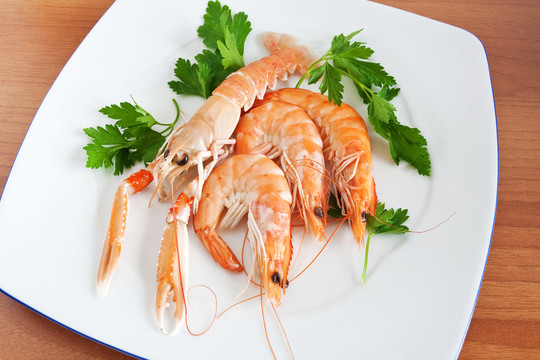 食物
