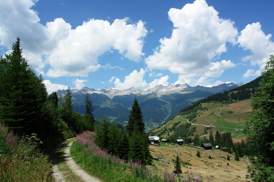 瑞士阿爾卑斯山