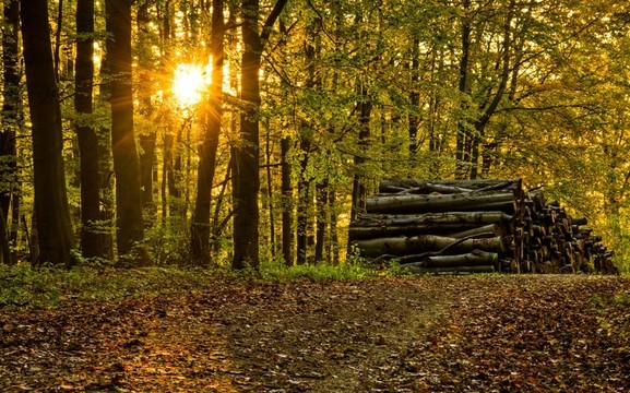 wanderweg4