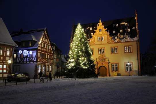 圣誕節(jié)在總統(tǒng)？-umstadt