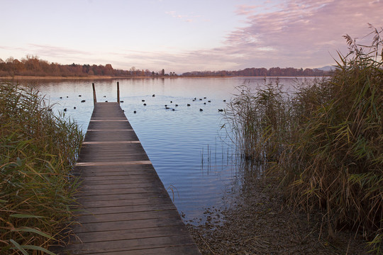 herbst am chiemsee，巴伐利亞