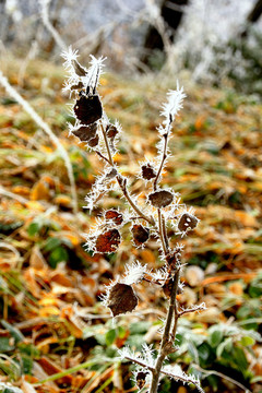 herbstzauber