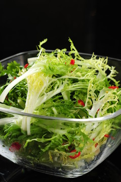 苦菊