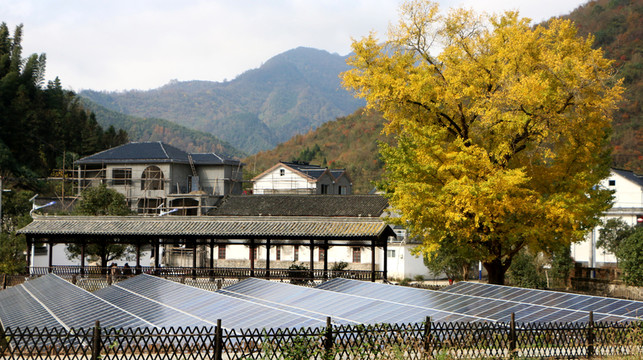 仙寓鎮(zhèn)源頭村光伏發(fā)電