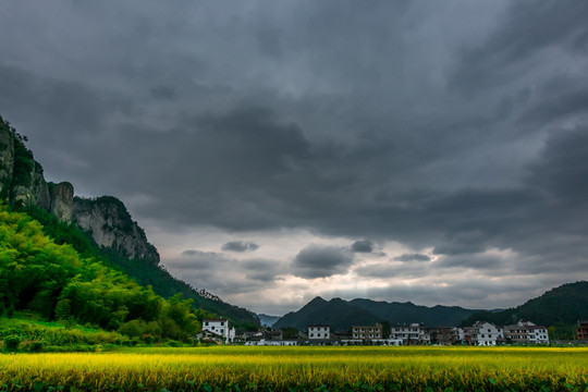 遠山 烏云 稻田