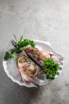 魚頭