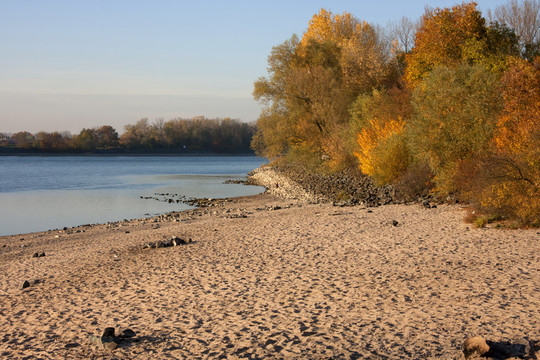 herbstspaziergang