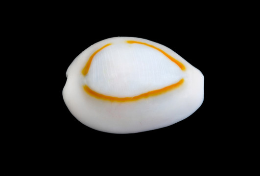 隔離的