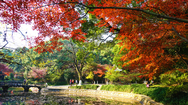冬日多彩風景