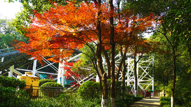 烈士公園景區(qū)