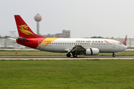 飛機 金鹿航空公司