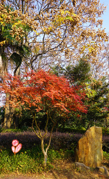 烈士公園風(fēng)景