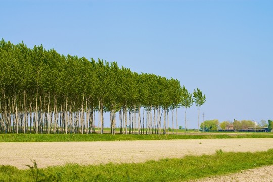 藍(lán)色