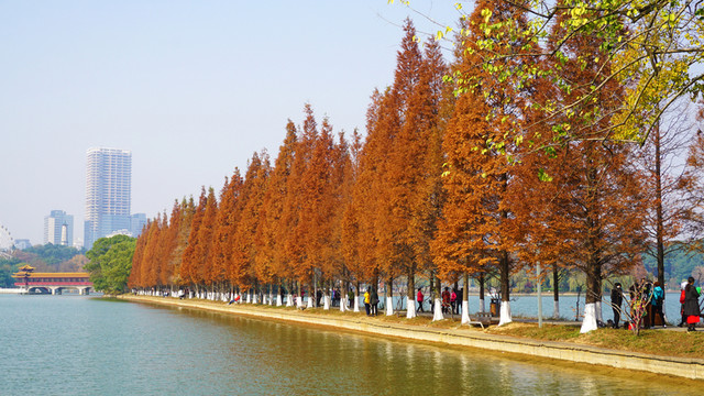 烈士公園風(fēng)景