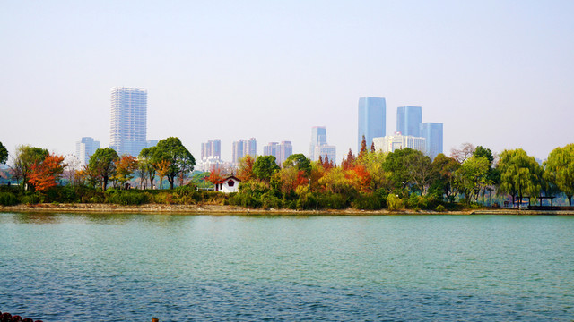 烈士公園冬日