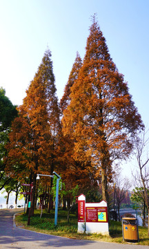 烈士公園冬日