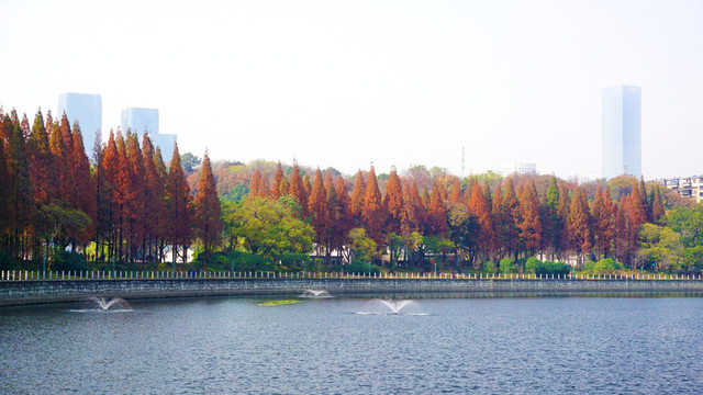 烈士公園冬日