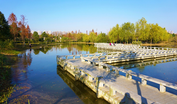 洋湖濕地公園景區(qū)