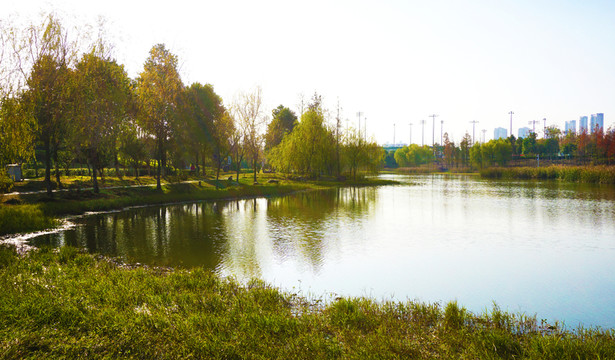 洋湖濕地公園景區(qū)