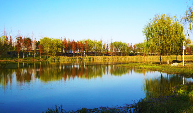 洋湖濕地公園景區(qū)
