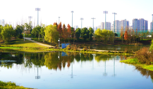 洋湖濕地公園
