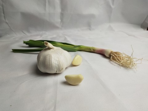 靜物組合實物圖