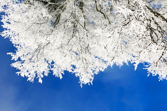 冬天 雪景