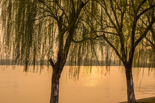 玄武湖黃昏美景