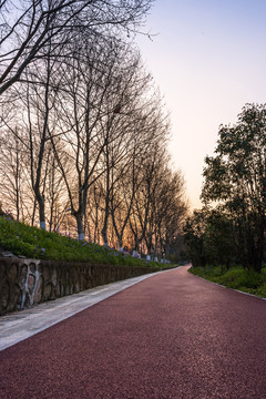 黃昏綠道