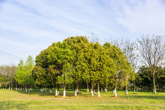 鐘山體育運(yùn)動(dòng)公園美景