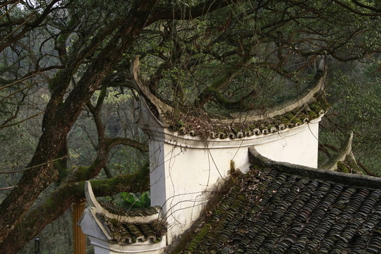 青瓦