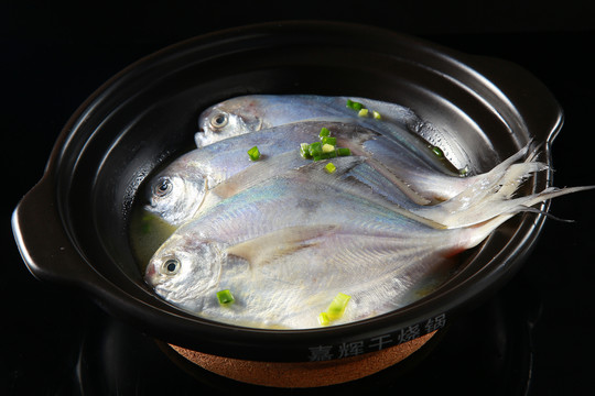 東海鯧魚