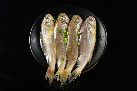野生小黃魚