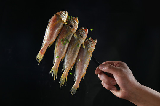 野生小黃魚