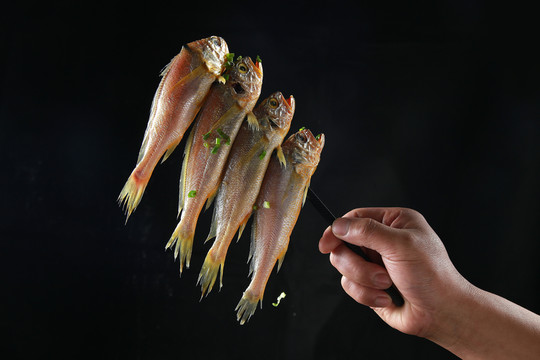 野生小黃魚