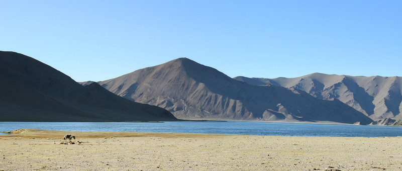 藍(lán)色